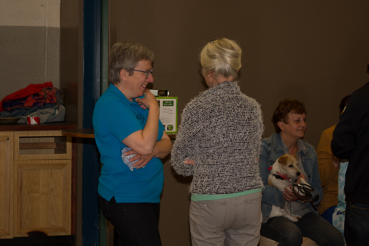 Tentoonstelling Timmerveld
